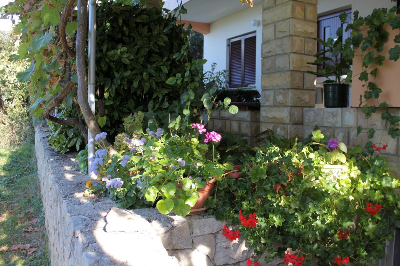 Family Friendly Seaside Apartments Kozino, Zadar - 5749 Petrcane Bagian luar foto